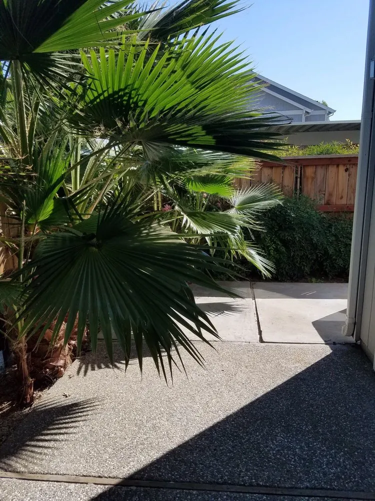 Reliable lawn care service in Woodland, CA - Yard Service & Landscaping