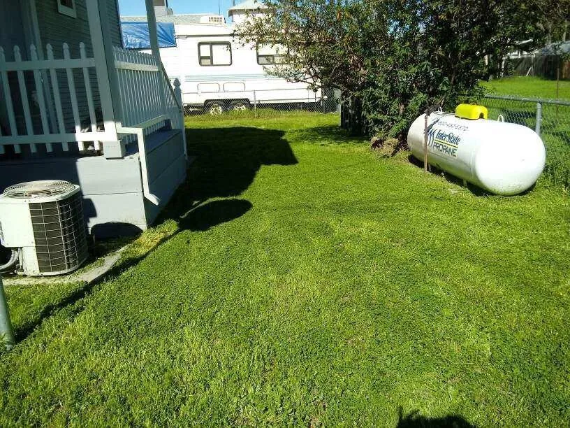 Custom yard cleanup service for beautiful yards in Woodland, CA by Yard Service & Landscaping