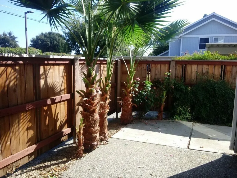 Top-rated landscaping services for beautiful yards across Woodland, CA - Yard Service & Landscaping