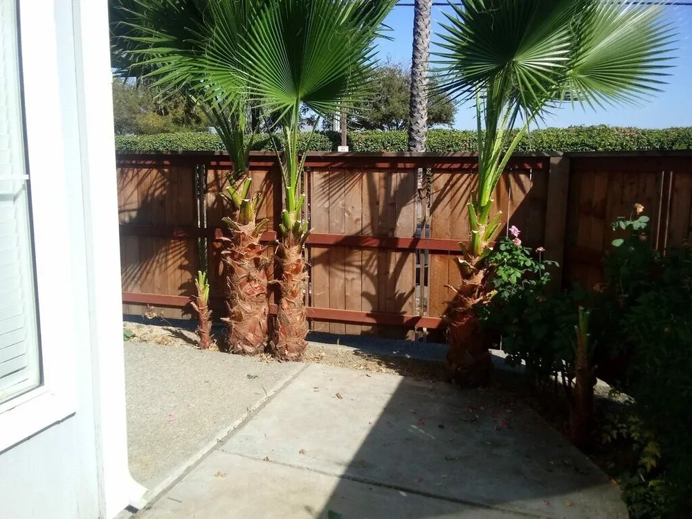 Custom landscape installation experts serving Woodland, CA - Yard Service & Landscaping