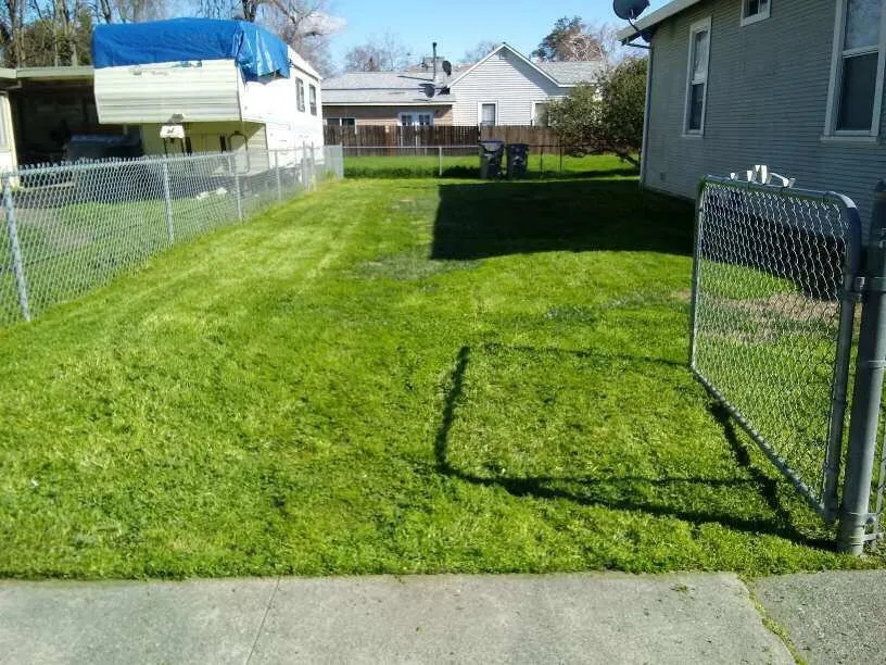 Professional lawn care service in Woodland, CA by Yard Service & Landscaping