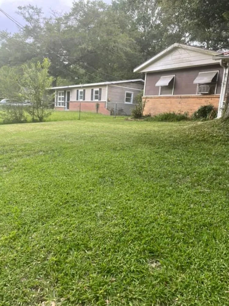 Reliable lawn care service with custom design across Eight Mile, AL - Yard Service EJ