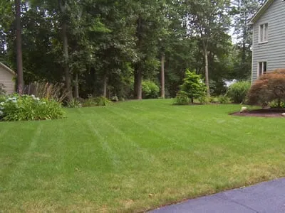 Top-rated yard cleanup service near you across East Greenwich, RI - Yard Service Landscape Experts