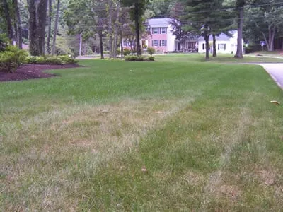 Reliable residential landscaping for year-round maintenance in East Greenwich, RI by Yard Service Landscape Experts