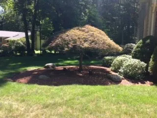Local lawn mowing service in East Greenwich, RI - Yard Service Landscape Experts