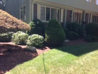 Affordable lawn mowing service in East Greenwich, RI by Yard Service Landscape Experts