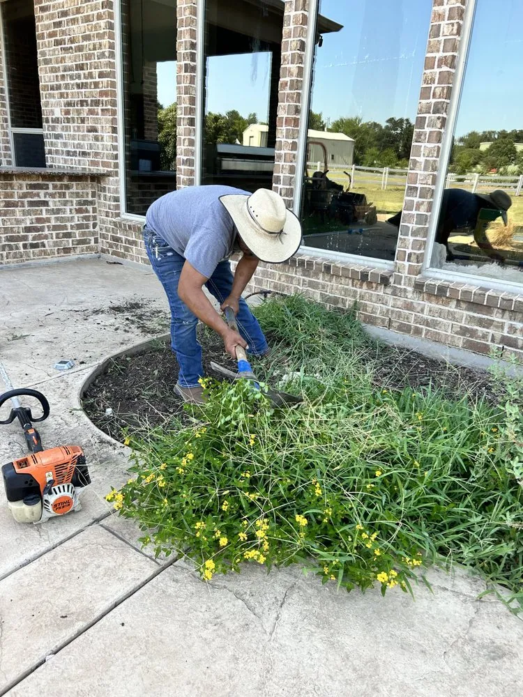 Affordable yard cleanup service experts serving Corinth, TX - Yard Service Noris