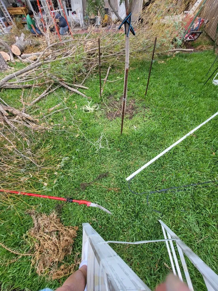 Affordable residential landscaping for outdoor upgrades in Corinth, TX by Yard Service Noris