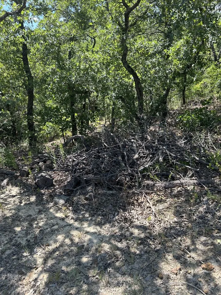 Trusted landscaping services for residential properties across Corinth, TX - Yard Service Noris