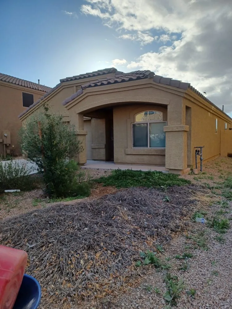Trusted yard cleanup service in Tucson, AZ - Yard Service