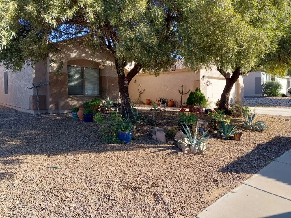 Expert garden landscaping for homes across Tucson, AZ - Yard Service