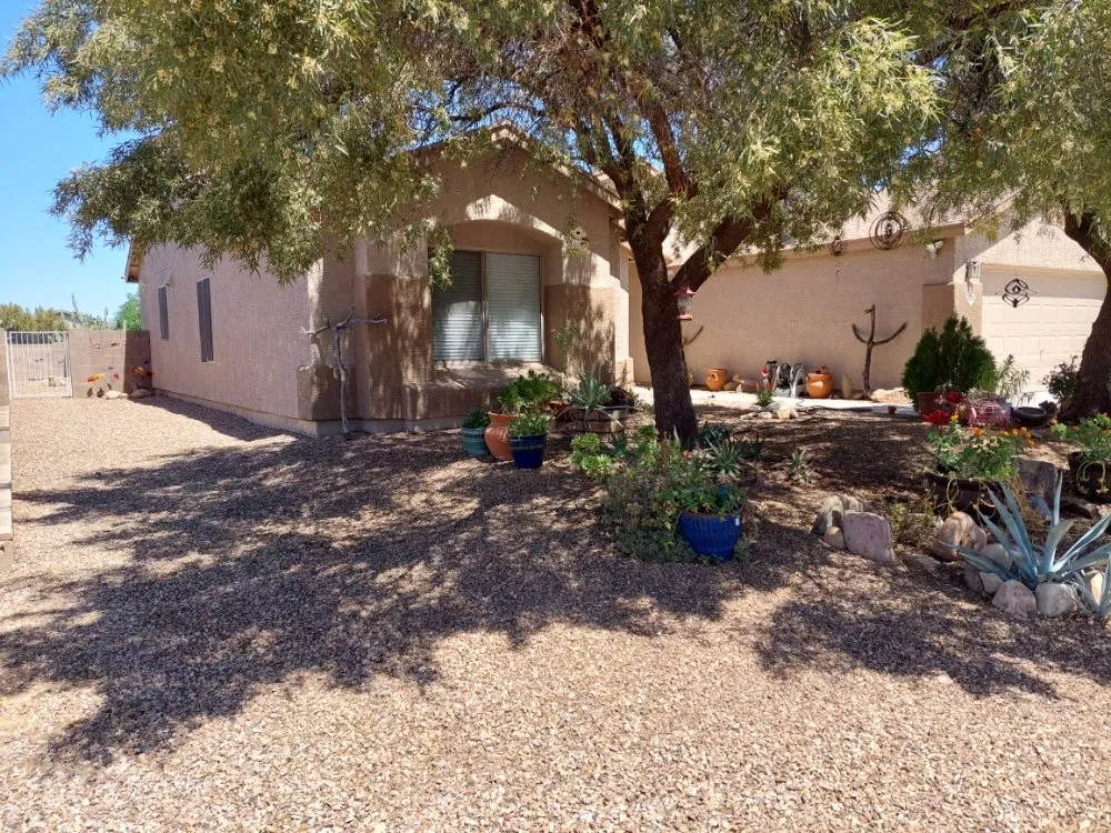 Affordable lawn mowing service in Tucson, AZ by Yard Service