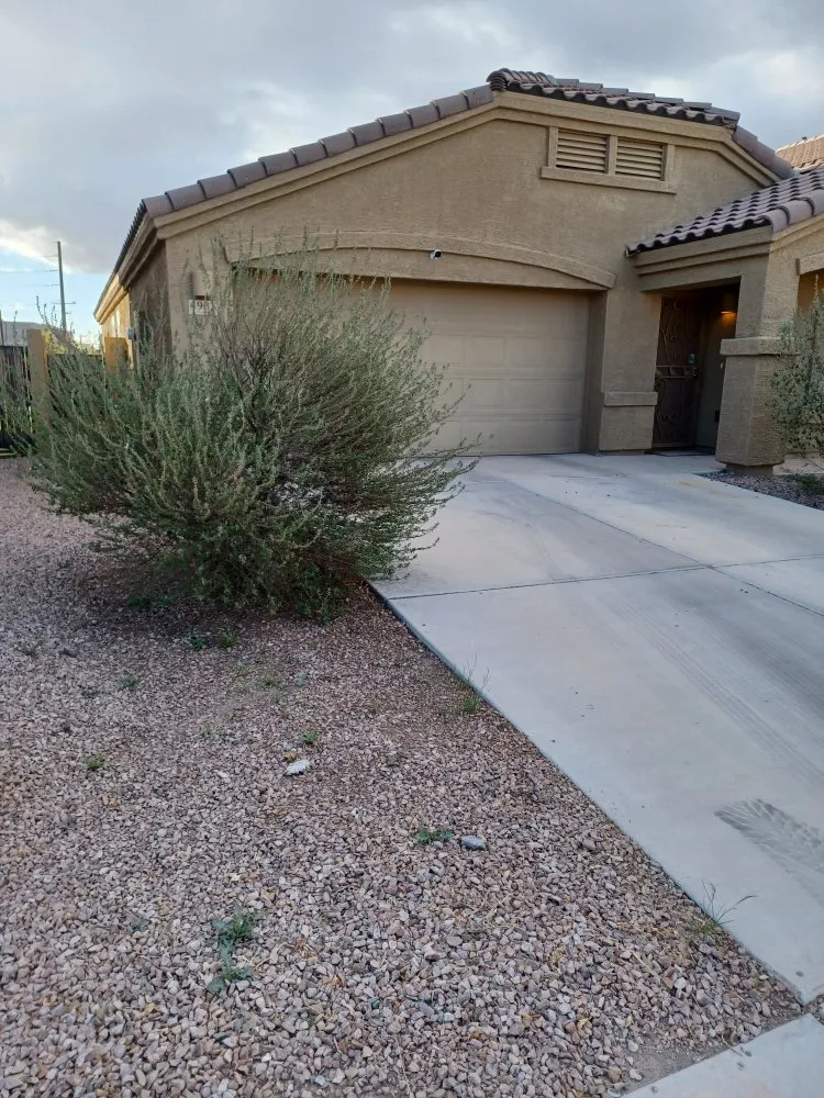 Custom yard cleanup service for outdoor upgrades across Tucson, AZ - Yard Service
