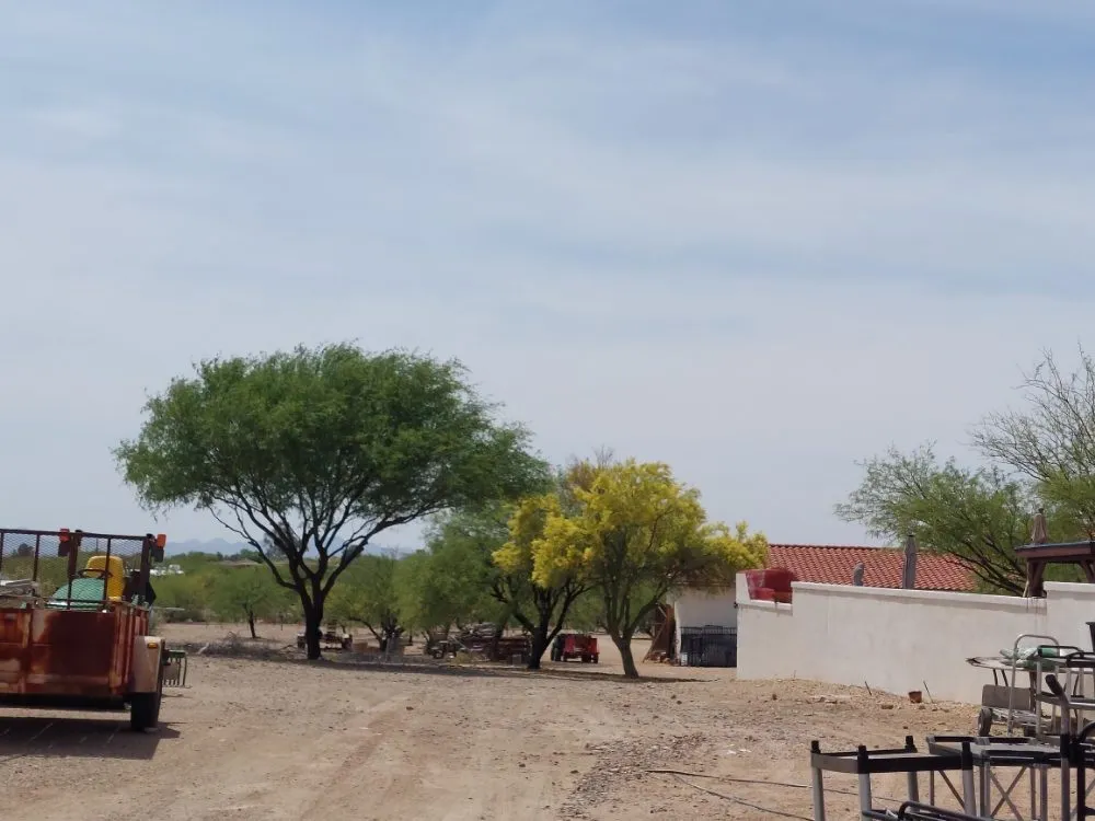Professional residential landscaping near you across Tucson, AZ - Yard Service