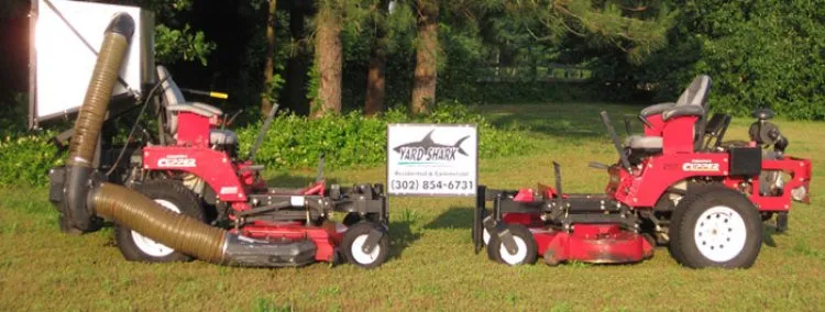 Professional outdoor landscaping in Georgetown, DE - Yard Shark