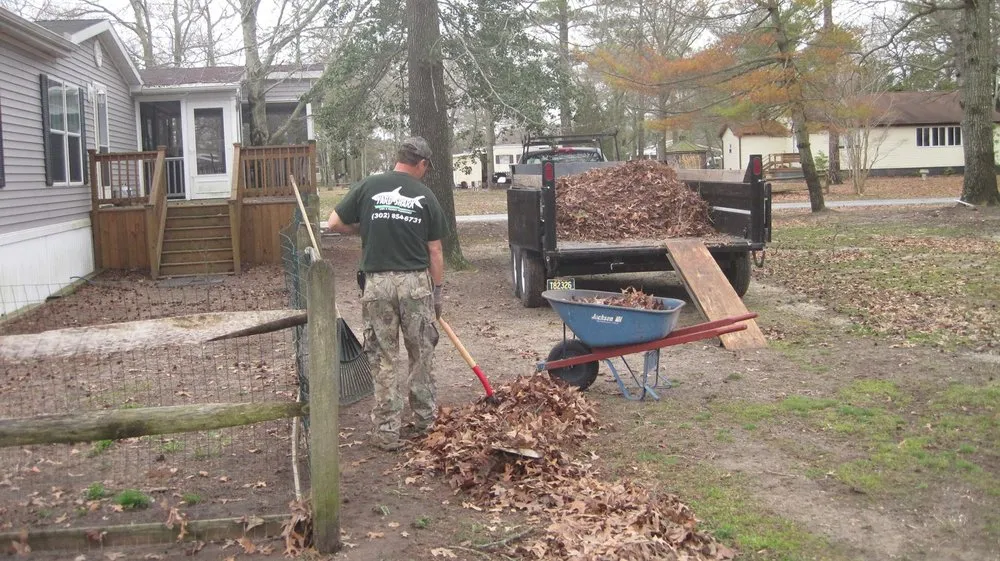 Expert landscape design in Georgetown, DE - Yard Shark