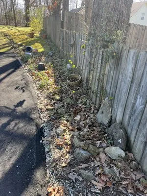 Yard Shark Lawncare Logo