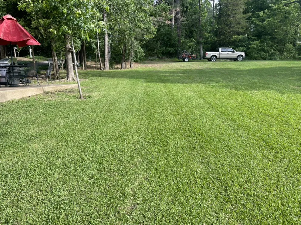 Affordable landscape design in Pickton, TX - Yard Shark