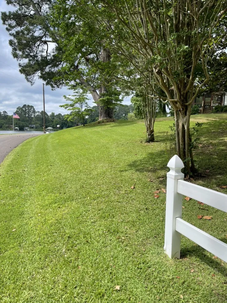 Professional lawn mowing service with custom design in Pickton, TX by Yard Shark