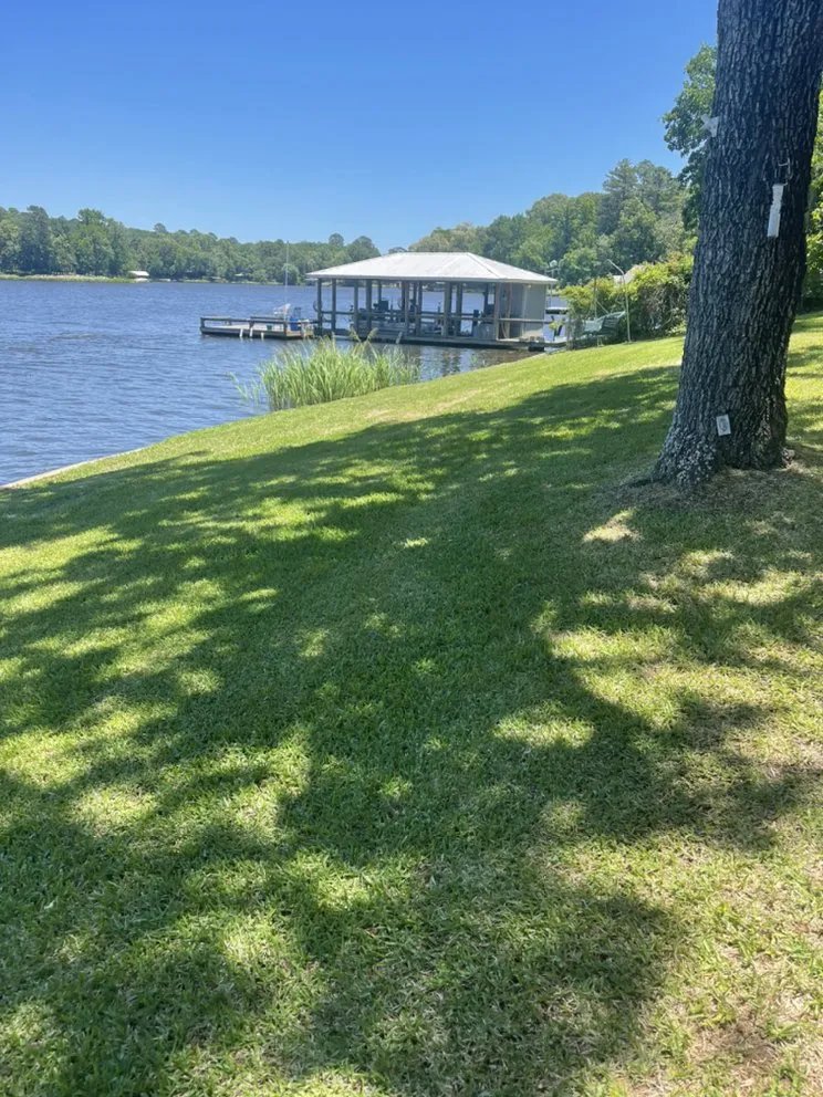 Trusted yard maintenance near you in Pickton, TX by Yard Shark