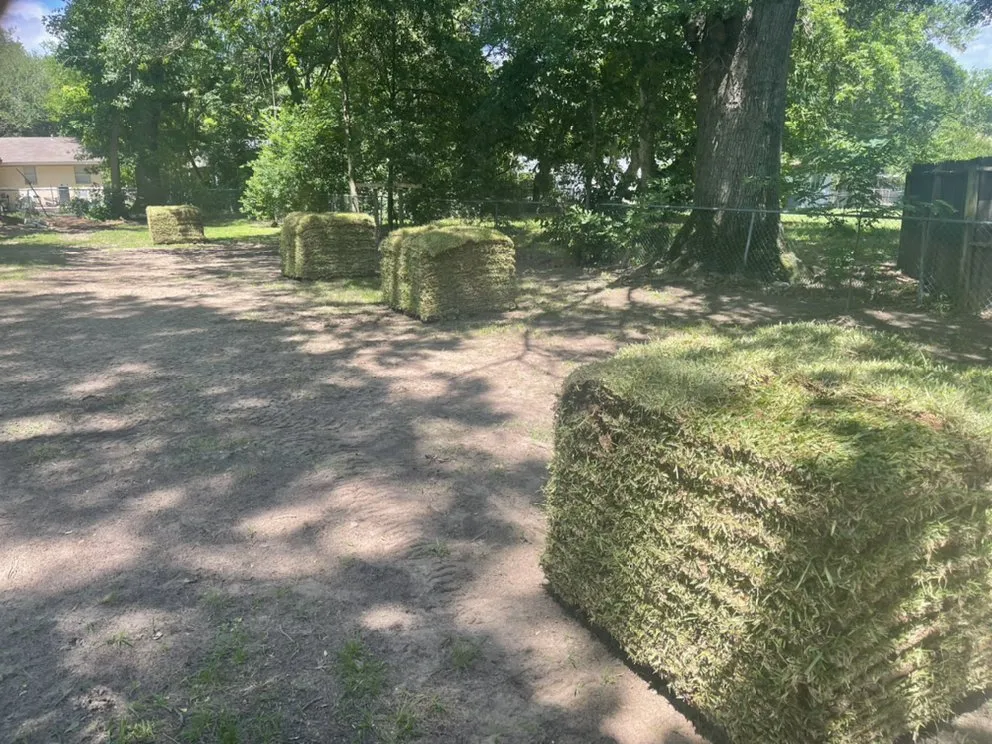 Affordable yard cleanup service with custom design across Pickton, TX - Yard Shark
