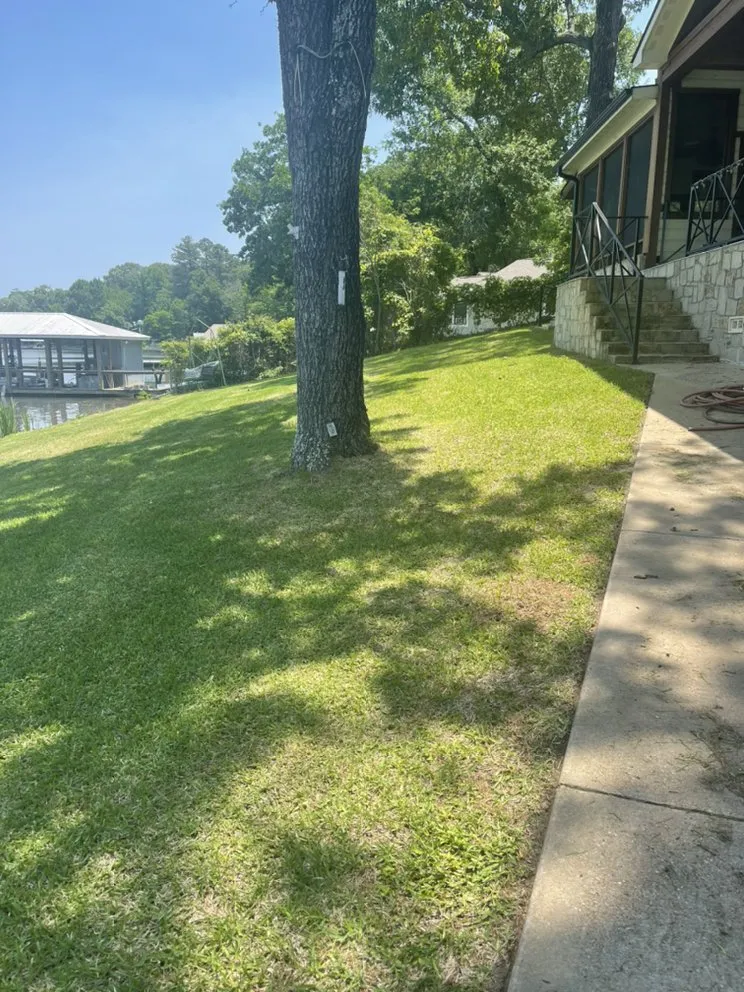 Reliable yard maintenance with custom design across Pickton, TX - Yard Shark