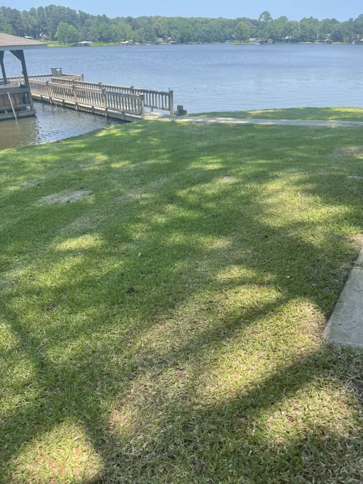 Affordable yard cleanup service for year-round maintenance across Pickton, TX - Yard Shark