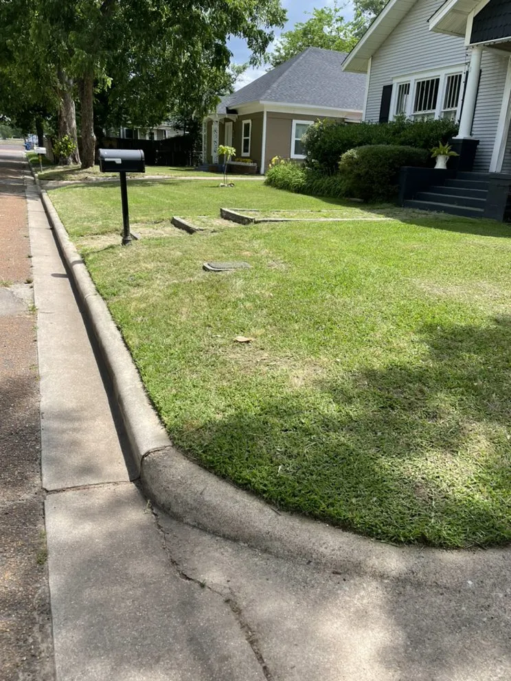 Top-rated lawn mowing service for year-round maintenance in Pickton, TX by Yard Shark