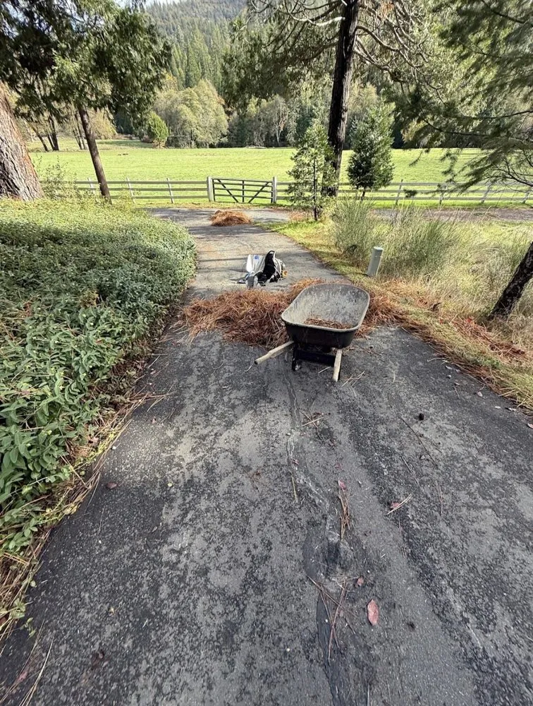 Trusted yard maintenance experts serving Sonora, CA - Yard Sharks Landscaping