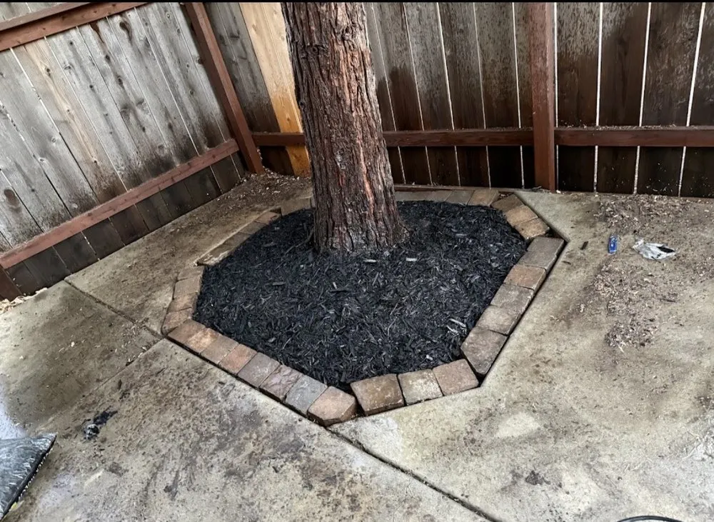 Expert yard cleanup service in Sonora, CA - Yard Sharks Landscaping