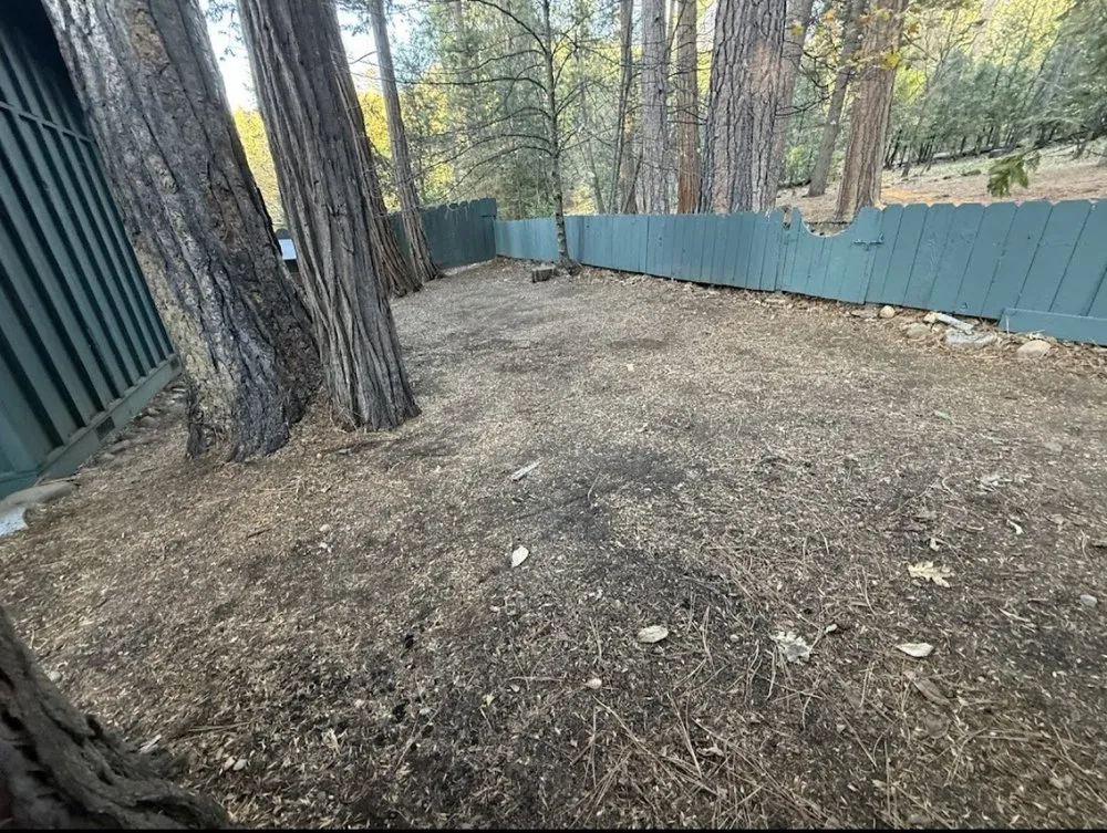 Custom landscape design near you across Sonora, CA - Yard Sharks Landscaping