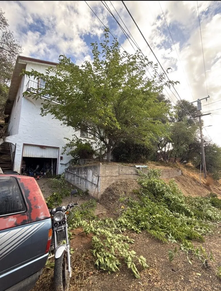 Affordable landscape design in Sonora, CA - Yard Sharks Landscaping