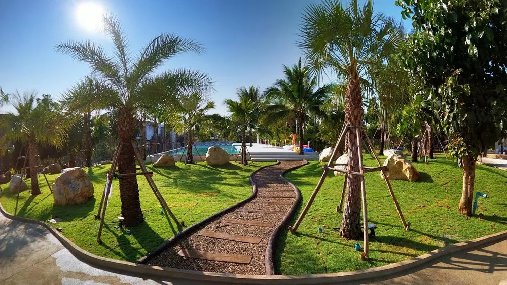 Top-rated landscaping services near you in Myrtle Beach, SC by Yard Sharks