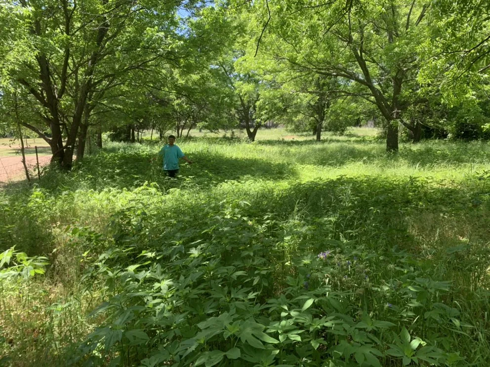 Reliable landscape design experts serving Weatherford, TX - Yard Sharks Property Services