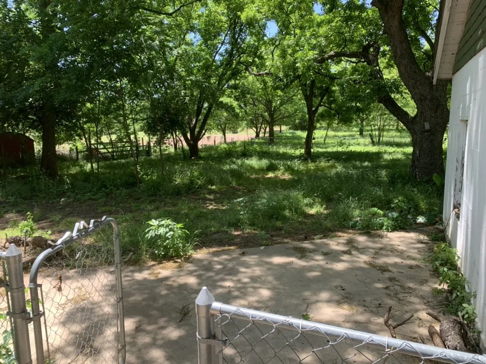 Affordable yard cleanup service for year-round maintenance in Weatherford, TX by Yard Sharks Property Services