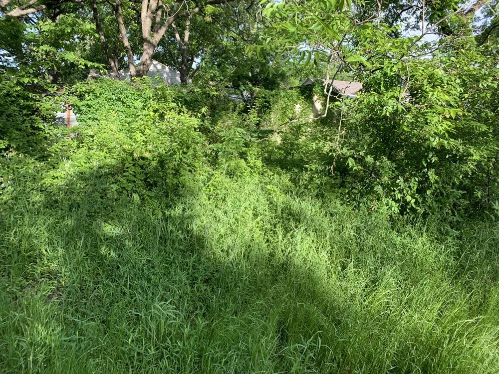 Reliable landscaping services experts serving Weatherford, TX - Yard Sharks Property Services