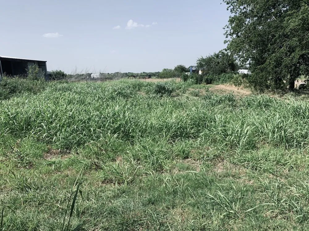 Custom lawn mowing service for beautiful yards in Weatherford, TX by Yard Sharks Property Services