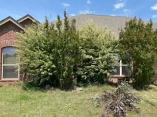 Top-rated lawn mowing service with custom design in Weatherford, TX by Yard Sharks Property Services