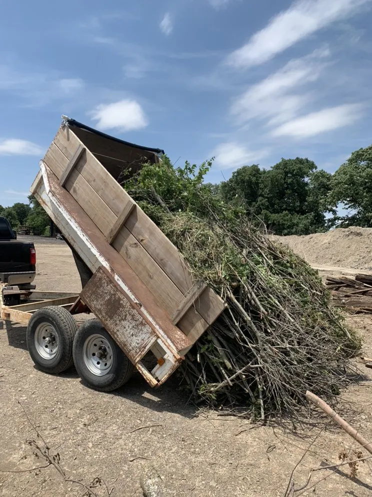 Trusted yard cleanup service experts serving Weatherford, TX - Yard Sharks Property Services