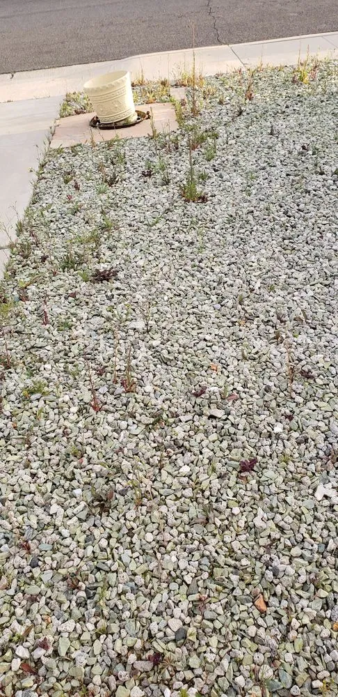 Trusted residential landscaping for homes in Menifee, CA by Yard Smart by Ruiz