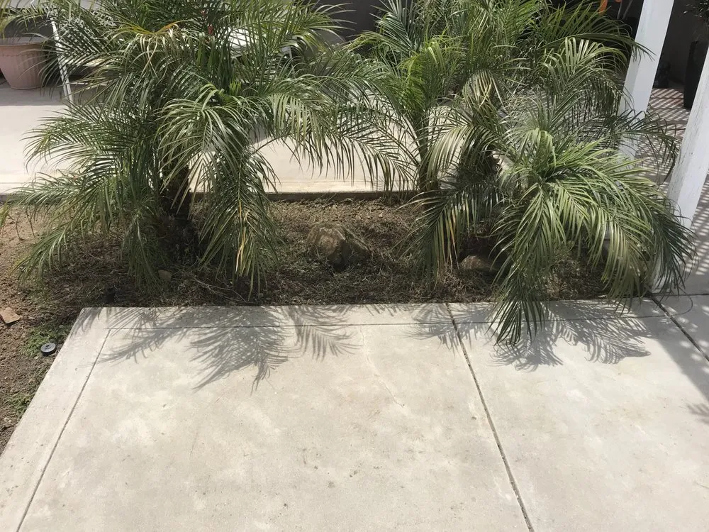 Expert residential landscaping in Menifee, CA by Yard Smart by Ruiz