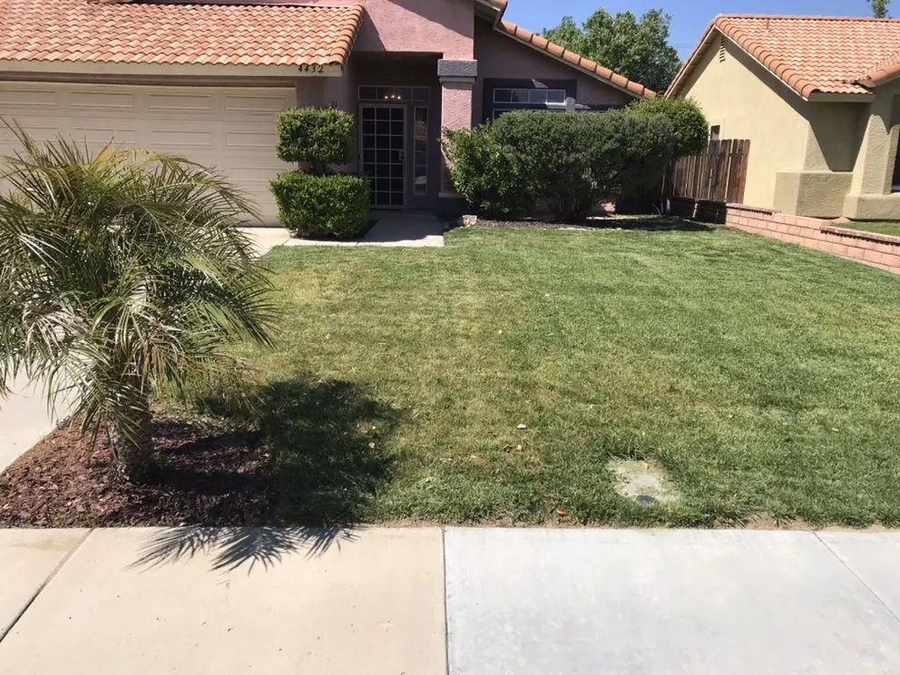 Local landscaping services in Menifee, CA - Yard Smart by Ruiz