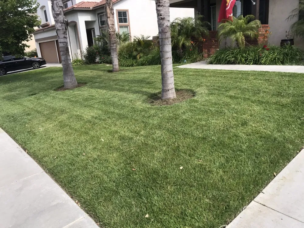 Trusted residential landscaping experts serving Menifee, CA - Yard Smart by Ruiz