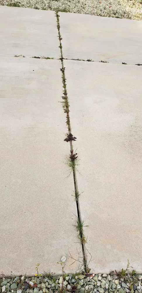 Custom landscape design for homes in Menifee, CA by Yard Smart by Ruiz