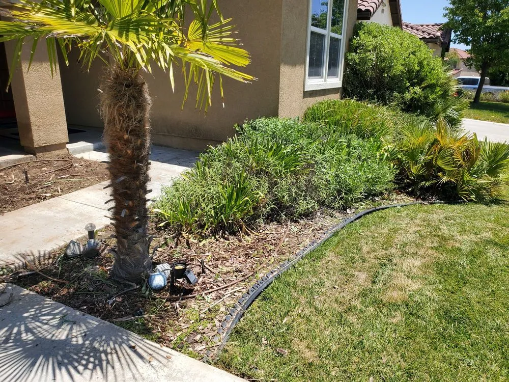 Professional landscaping services in Menifee, CA by Yard Smart by Ruiz