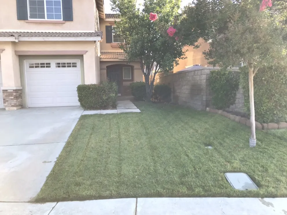 Professional landscape design experts serving Menifee, CA - Yard Smart by Ruiz