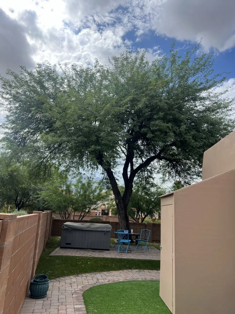 Custom yard maintenance for year-round maintenance in Tucson, AZ by Yard Smart Landscape
