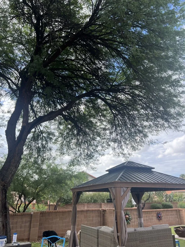 Local landscaping services experts serving Tucson, AZ - Yard Smart Landscape