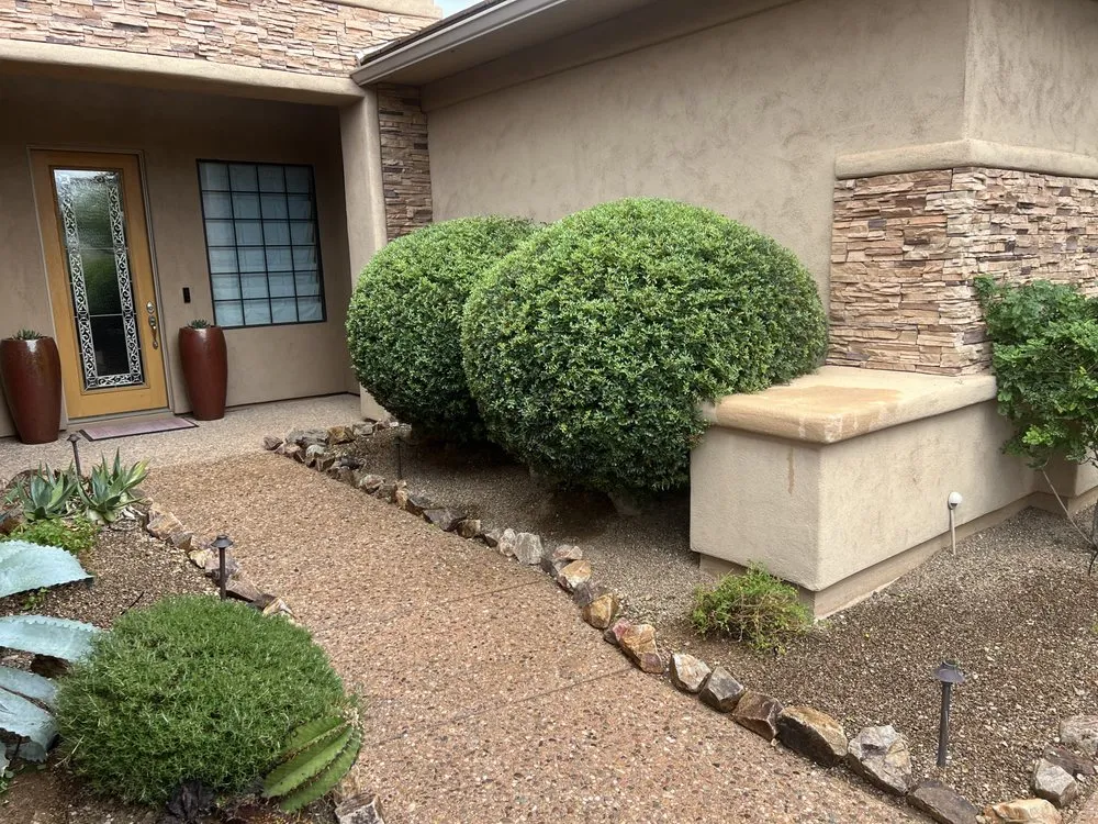 Expert landscaping services in Tucson, AZ by Yard Smart Landscape