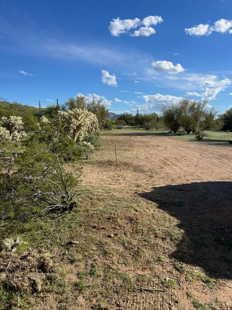 Top-rated yard maintenance in Tucson, AZ by Yard Smart Landscape